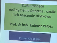 powiększ zdjęcie 